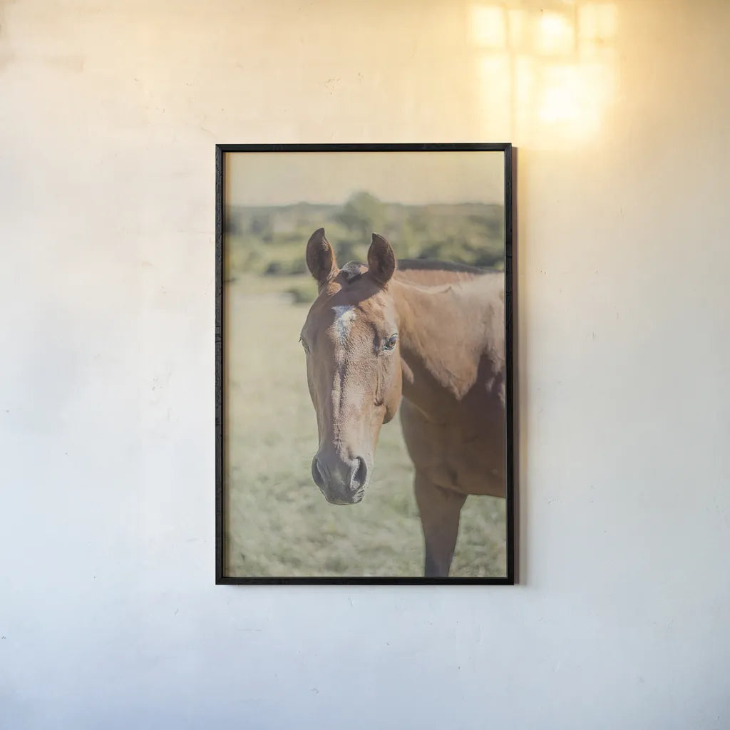 Polo Pony II by Elizabeth Urquhart. shown as a paper print in a black flame. Available as a archival giclee rolled canvas, fine art paper, or poster print. SKU 30340h.