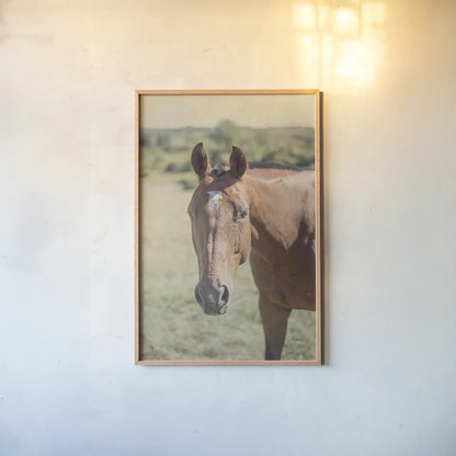 Polo Pony II by Elizabeth Urquhart. shown as a paper print in a natural frame. Available as a archival giclee rolled canvas, fine art paper, or poster print. SKU 30340h.