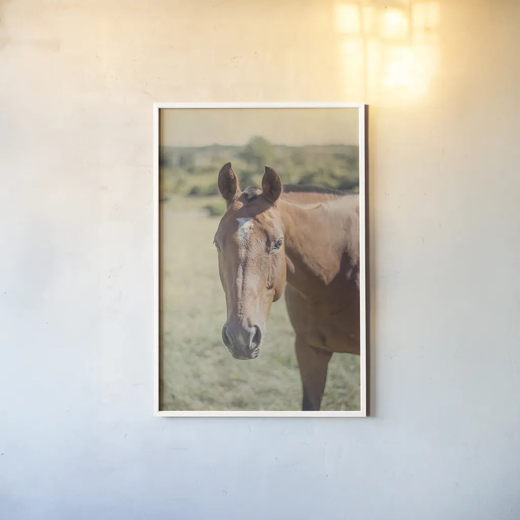 Polo Pony II by Elizabeth Urquhart. shown as a paper print in a white frame. Available as a archival giclee rolled canvas, fine art paper, or poster print. SKU 30340h.