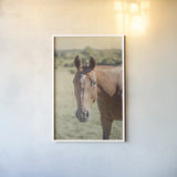 Polo Pony II by Elizabeth Urquhart. shown as a paper print in a white frame. Available as a archival giclee rolled canvas, fine art paper, or poster print. SKU 30340h.