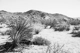 Road Trip II by Elizabeth Urquhart. SKU 50738i. Archival Giclee Fine art print for wall decor.