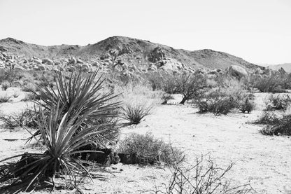 Road Trip II by Elizabeth Urquhart. SKU 50738i. Archival Giclee Fine art print for wall decor.