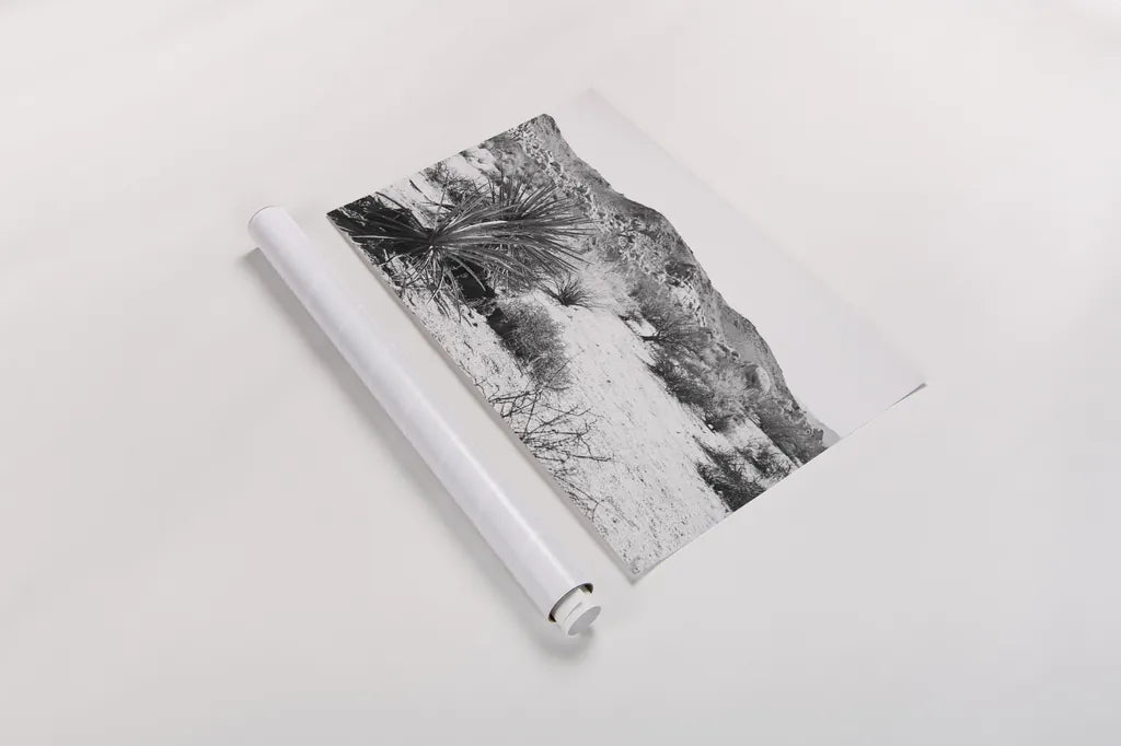 Road Trip II by Elizabeth Urquhart. shown as a rolled paper print. Available as archival giclee rolled canvas, fine art paper, or poster print. SKU 50738i.