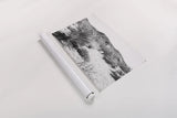 Road Trip II by Elizabeth Urquhart. shown as a rolled paper print. Available as archival giclee rolled canvas, fine art paper, or poster print. SKU 50738i.