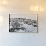 Road Trip II by Elizabeth Urquhart. shown as a paper print in a white frame. Available as a archival giclee rolled canvas, fine art paper, or poster print. SKU 50738i.