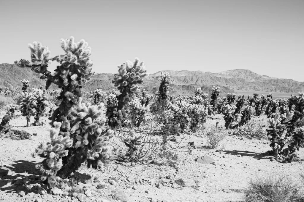 Road Trip III by Elizabeth Urquhart. SKU 50739i. Archival Giclee Fine art print for wall decor.