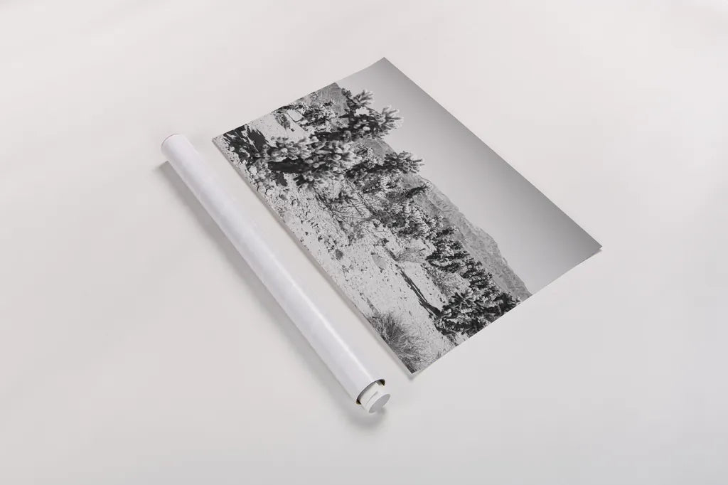 Road Trip III by Elizabeth Urquhart. shown as a rolled paper print. Available as archival giclee rolled canvas, fine art paper, or poster print. SKU 50739i.