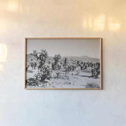 Road Trip III by Elizabeth Urquhart. shown as a paper print in a natural frame. Available as a archival giclee rolled canvas, fine art paper, or poster print. SKU 50739i.