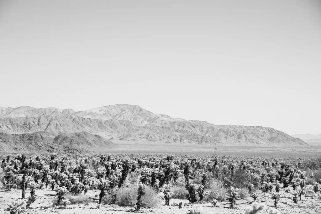 Road Trip IV by Elizabeth Urquhart. SKU 50740i. Archival Giclee Fine art print for wall decor.