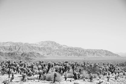 Road Trip IV by Elizabeth Urquhart. SKU 50740i. Archival Giclee Fine art print for wall decor.