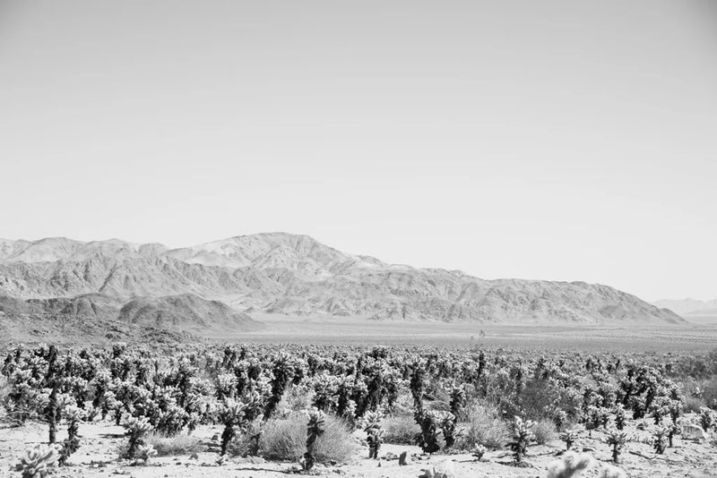 Road Trip IV by Elizabeth Urquhart. SKU 50740i. Archival Giclee Fine art print for wall decor.