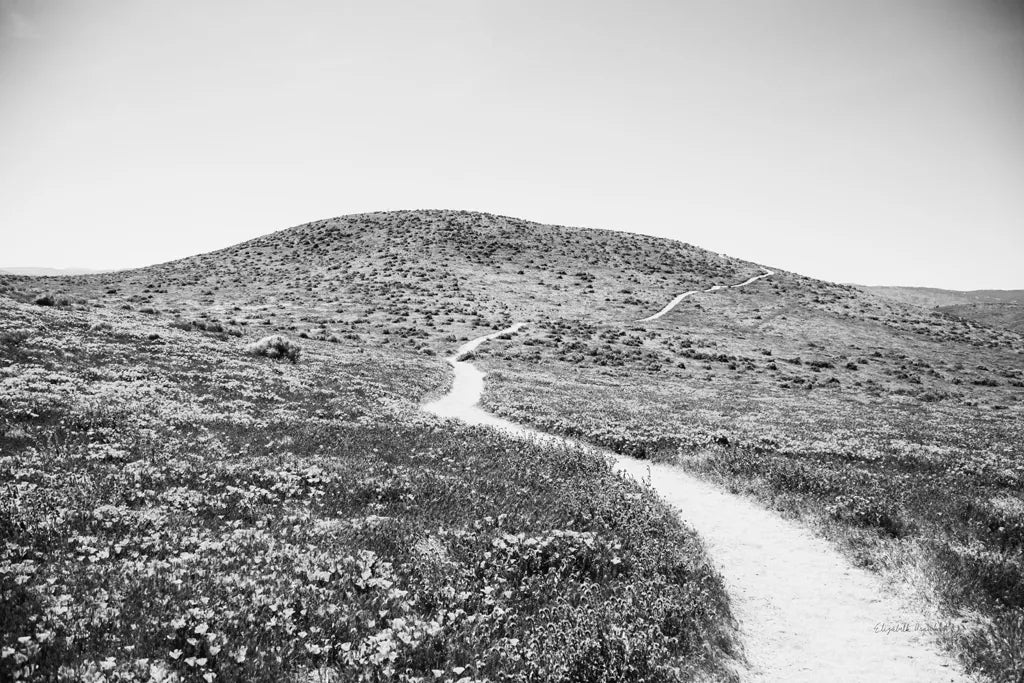 Road Trip V by Elizabeth Urquhart. SKU 50741i. Archival Giclee Fine art print for wall decor.