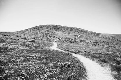 Road Trip V by Elizabeth Urquhart. SKU 50741i. Archival Giclee Fine art print for wall decor.