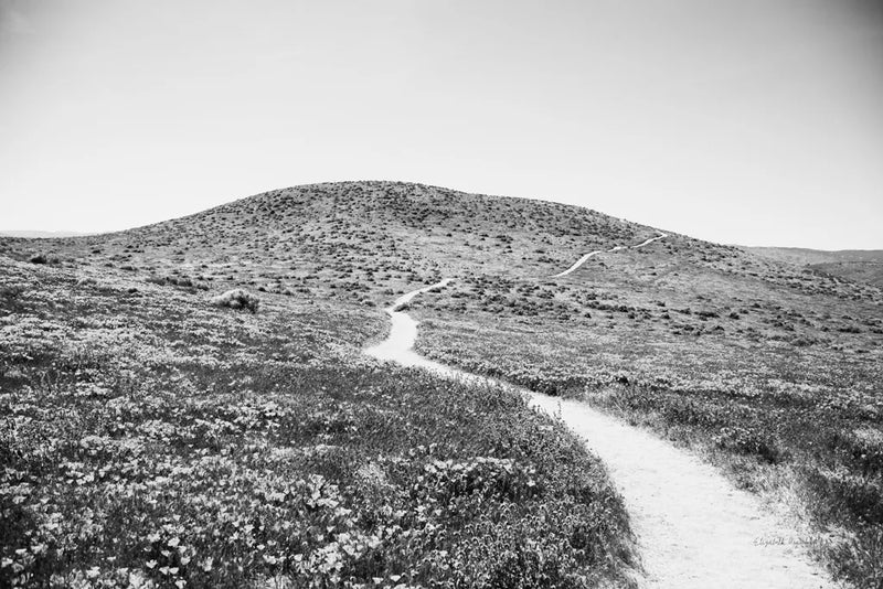 Road Trip V by Elizabeth Urquhart. SKU 50741i. Archival Giclee Fine art print for wall decor.