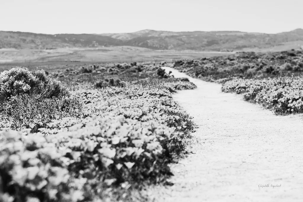 Road Trip VI by Elizabeth Urquhart. SKU 50742i. Archival Giclee Fine art print for wall decor.