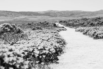 Road Trip VI by Elizabeth Urquhart. SKU 50742i. Archival Giclee Fine art print for wall decor.