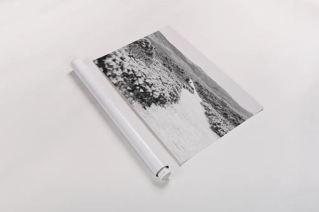 Road Trip VI by Elizabeth Urquhart. shown as a rolled paper print. Available as archival giclee rolled canvas, fine art paper, or poster print. SKU 50742i.