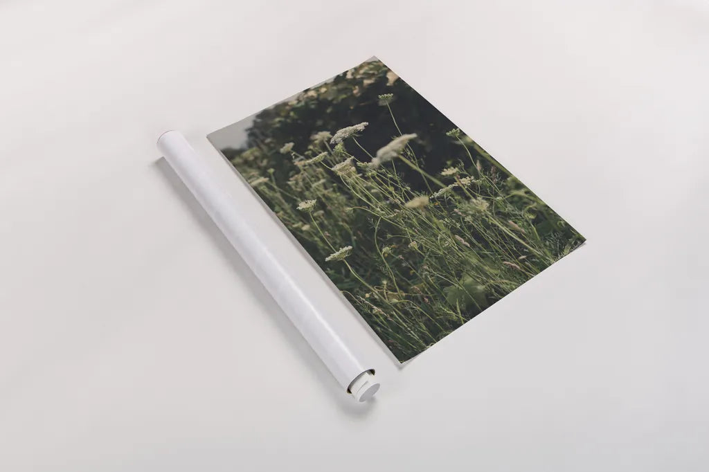 Running Wild II by Elizabeth Urquhart. shown as a rolled paper print. Available as archival giclee rolled canvas, fine art paper, or poster print. SKU 74450h.