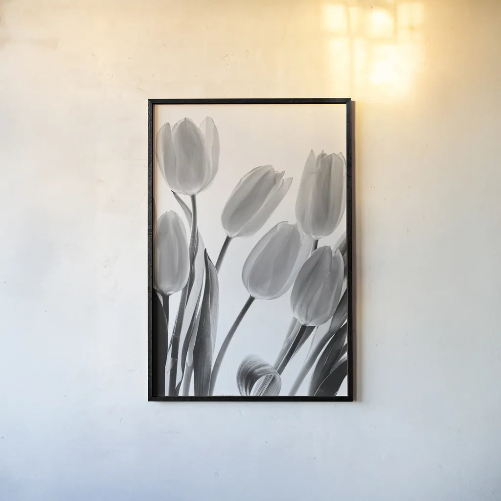 Shadows and Light I by Elizabeth Urquhart. shown as a paper print in a black flame. Available as a archival giclee rolled canvas, fine art paper, or poster print. SKU 33350h.