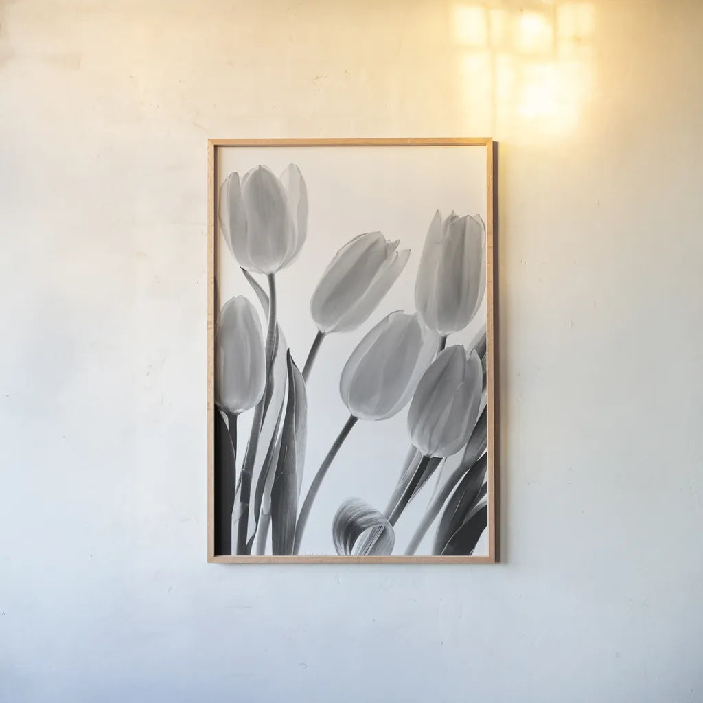 Shadows and Light I by Elizabeth Urquhart. shown as a paper print in a natural frame. Available as a archival giclee rolled canvas, fine art paper, or poster print. SKU 33350h.