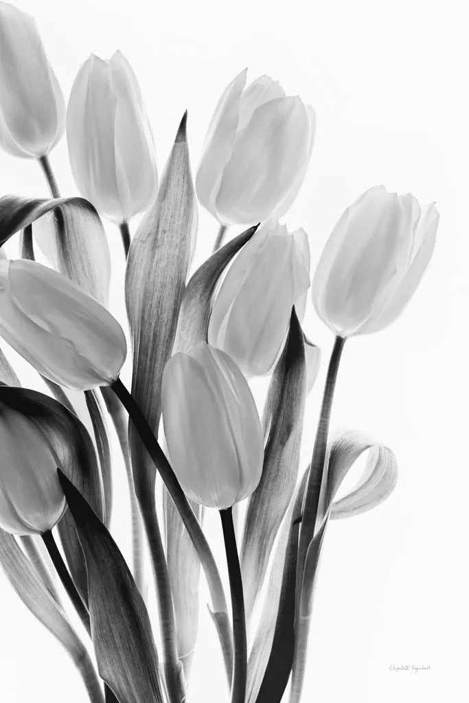 Shadows and Light II by Elizabeth Urquhart. SKU 33351h. Archival Giclee Fine art print for wall decor.