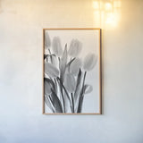 Shadows and Light II by Elizabeth Urquhart. shown as a paper print in a natural frame. Available as a archival giclee rolled canvas, fine art paper, or poster print. SKU 33351h.