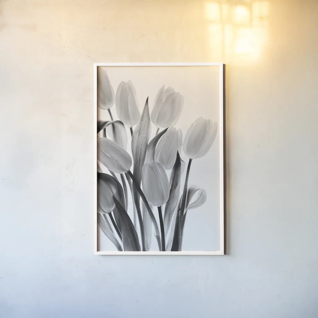 Shadows and Light II by Elizabeth Urquhart. shown as a paper print in a white frame. Available as a archival giclee rolled canvas, fine art paper, or poster print. SKU 33351h.