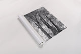 Stand Tall I by Elizabeth Urquhart. shown as a rolled paper print. Available as archival giclee rolled canvas, fine art paper, or poster print. SKU 30341h.
