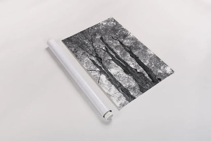 Stand Tall I by Elizabeth Urquhart. shown as a rolled paper print. Available as archival giclee rolled canvas, fine art paper, or poster print. SKU 30341h.