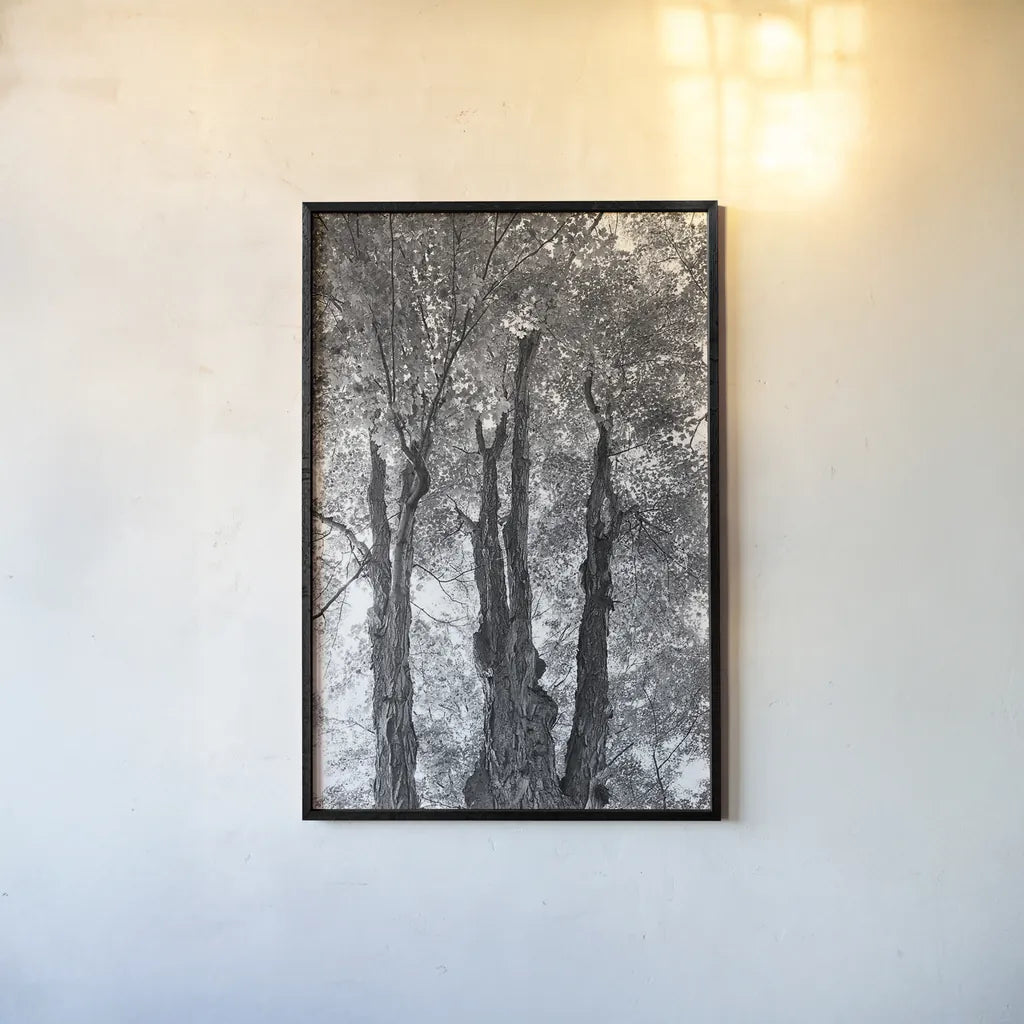 Stand Tall I by Elizabeth Urquhart. shown as a paper print in a black flame. Available as a archival giclee rolled canvas, fine art paper, or poster print. SKU 30341h.