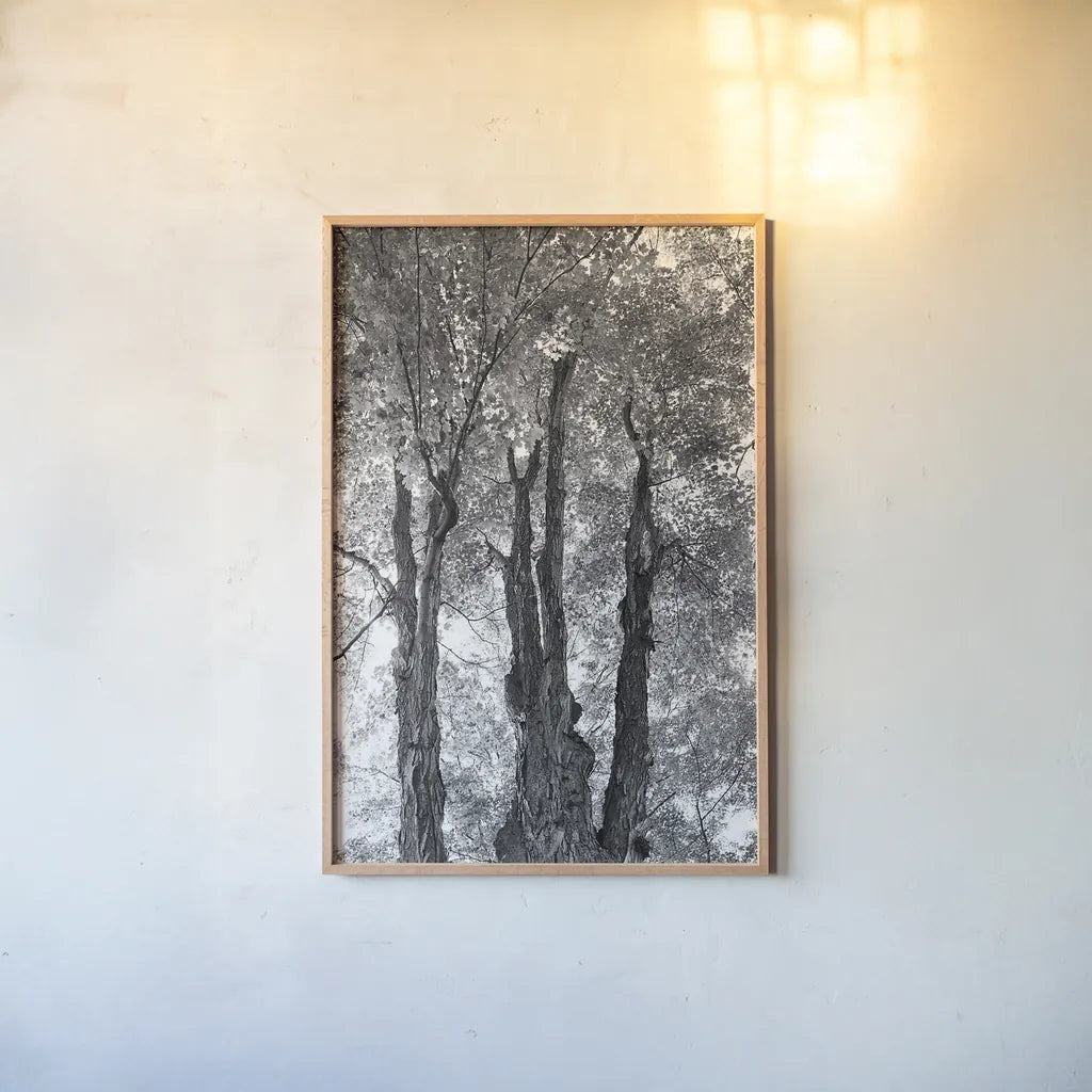 Stand Tall I by Elizabeth Urquhart. shown as a paper print in a natural frame. Available as a archival giclee rolled canvas, fine art paper, or poster print. SKU 30341h.