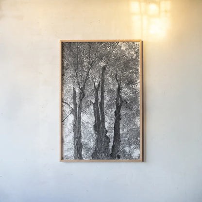 Stand Tall I by Elizabeth Urquhart. shown as a paper print in a natural frame. Available as a archival giclee rolled canvas, fine art paper, or poster print. SKU 30341h.