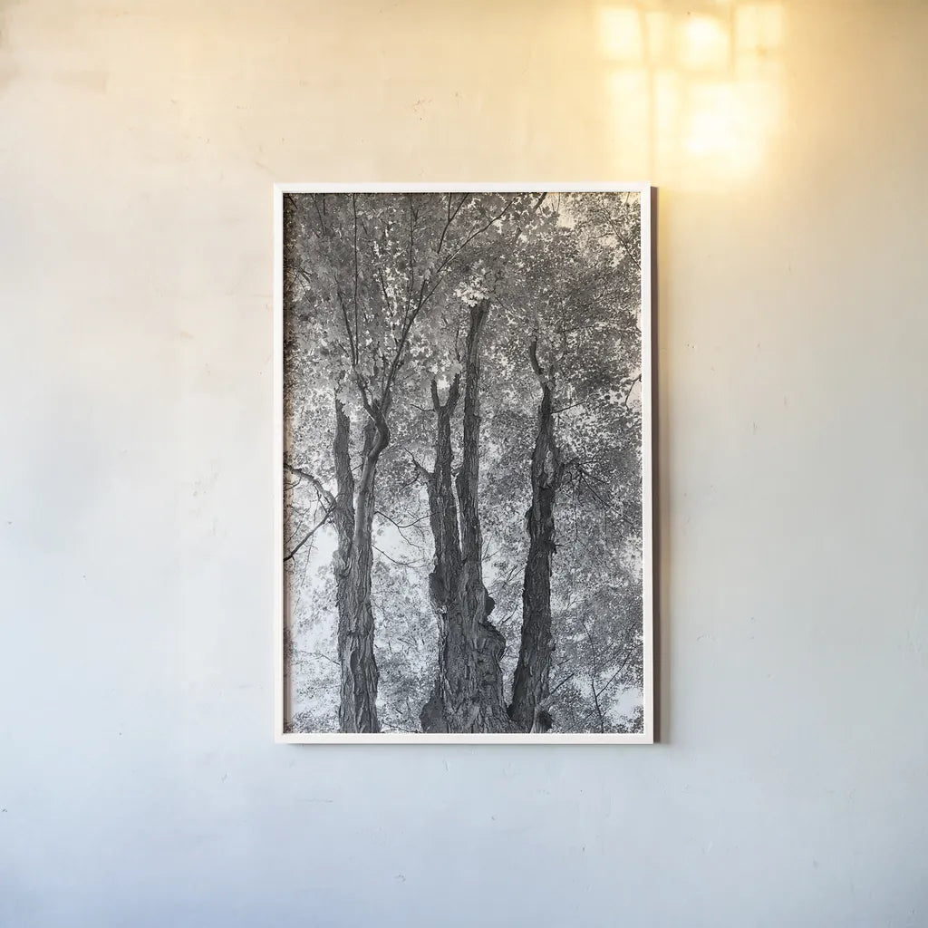 Stand Tall I by Elizabeth Urquhart. shown as a paper print in a white frame. Available as a archival giclee rolled canvas, fine art paper, or poster print. SKU 30341h.