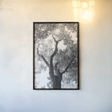 Stand Tall II by Elizabeth Urquhart. shown as a paper print in a black flame. Available as a archival giclee rolled canvas, fine art paper, or poster print. SKU 30342h.