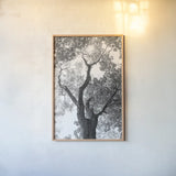 Stand Tall II by Elizabeth Urquhart. shown as a paper print in a natural frame. Available as a archival giclee rolled canvas, fine art paper, or poster print. SKU 30342h.