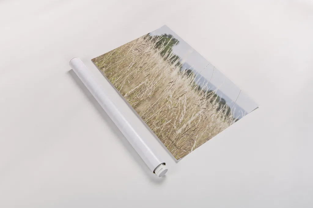 Summer Field I by Elizabeth Urquhart. shown as a rolled paper print. Available as archival giclee rolled canvas, fine art paper, or poster print. SKU 74451i.