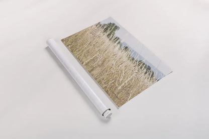 Summer Field I by Elizabeth Urquhart. shown as a rolled paper print. Available as archival giclee rolled canvas, fine art paper, or poster print. SKU 74451i.