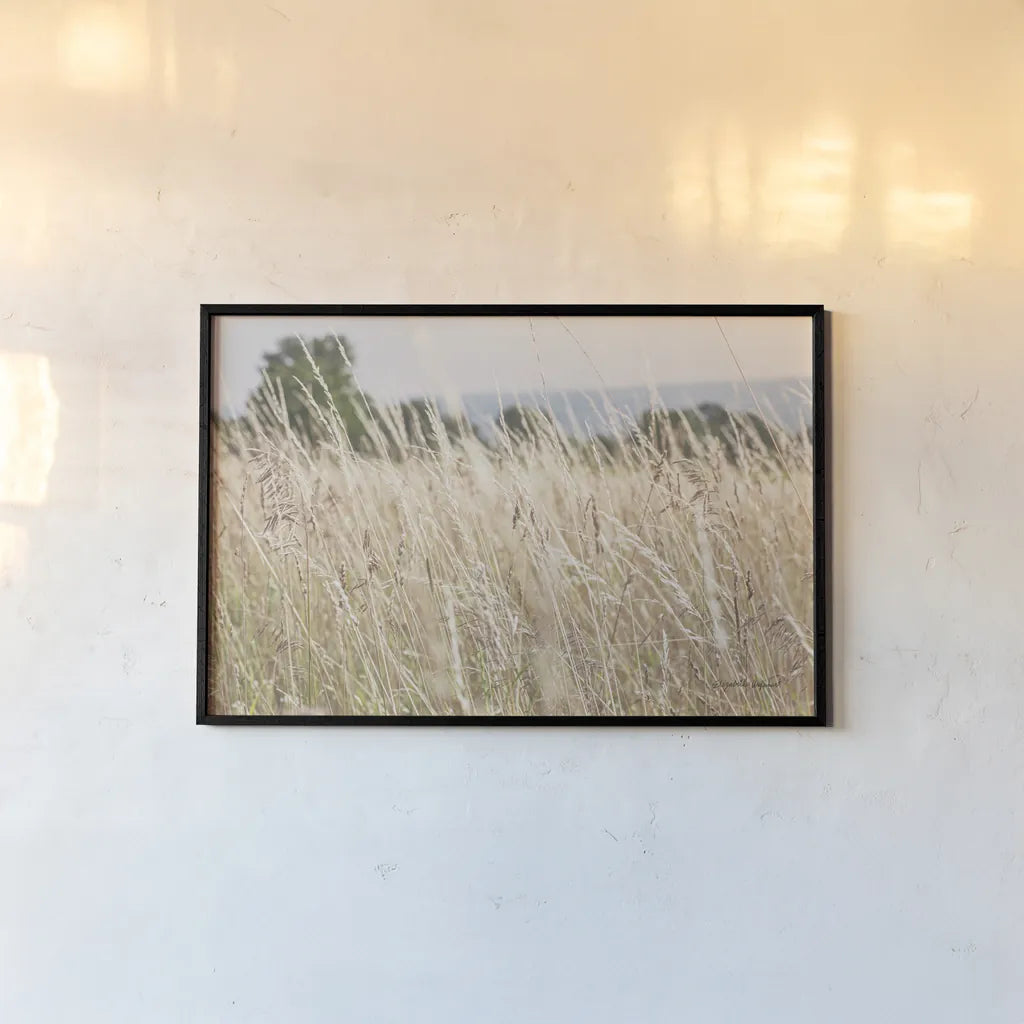 Summer Field I by Elizabeth Urquhart. shown as a paper print in a black flame. Available as a archival giclee rolled canvas, fine art paper, or poster print. SKU 74451i.