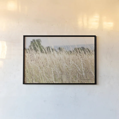 Summer Field I by Elizabeth Urquhart. shown as a paper print in a black flame. Available as a archival giclee rolled canvas, fine art paper, or poster print. SKU 74451i.