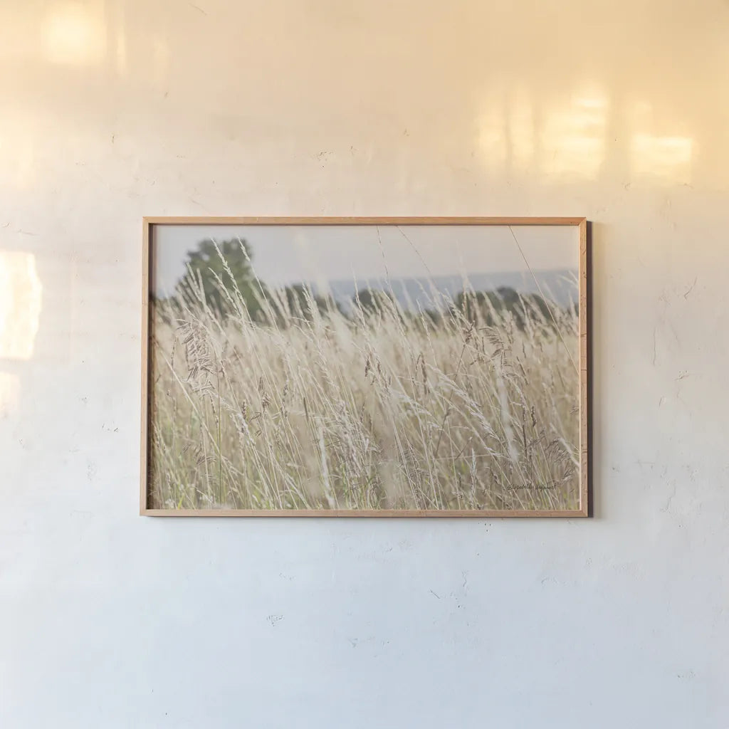 Summer Field I by Elizabeth Urquhart. shown as a paper print in a natural frame. Available as a archival giclee rolled canvas, fine art paper, or poster print. SKU 74451i.