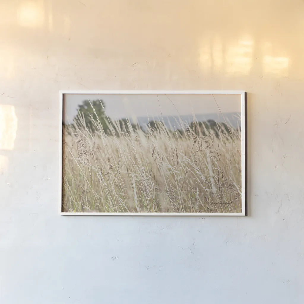 Summer Field I by Elizabeth Urquhart. shown as a paper print in a white frame. Available as a archival giclee rolled canvas, fine art paper, or poster print. SKU 74451i.