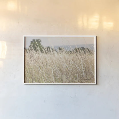 Summer Field I by Elizabeth Urquhart. shown as a paper print in a white frame. Available as a archival giclee rolled canvas, fine art paper, or poster print. SKU 74451i.