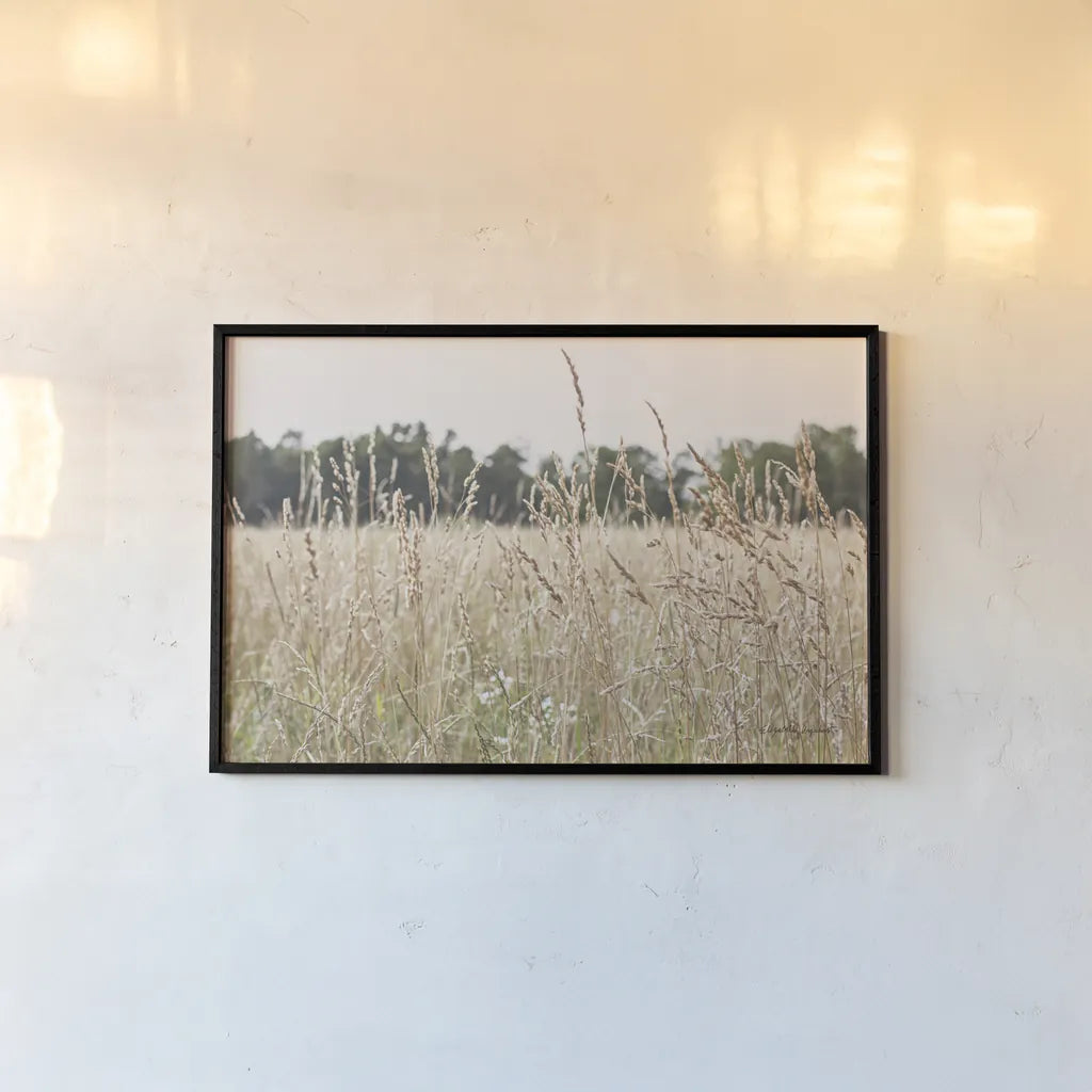 Summer Field II by Elizabeth Urquhart. shown as a paper print in a black flame. Available as a archival giclee rolled canvas, fine art paper, or poster print. SKU 74452i.