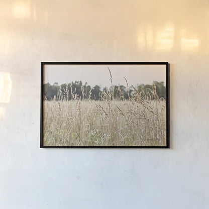 Summer Field II by Elizabeth Urquhart. shown as a paper print in a black flame. Available as a archival giclee rolled canvas, fine art paper, or poster print. SKU 74452i.