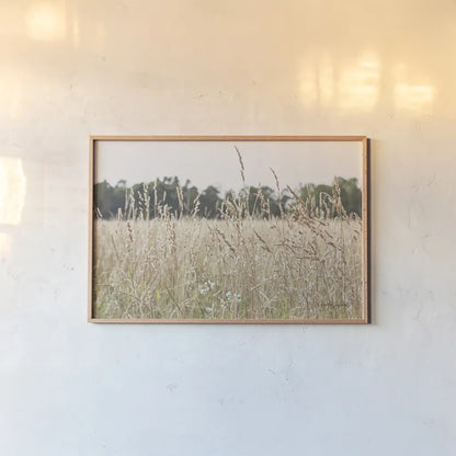 Summer Field II by Elizabeth Urquhart. shown as a paper print in a natural frame. Available as a archival giclee rolled canvas, fine art paper, or poster print. SKU 74452i.