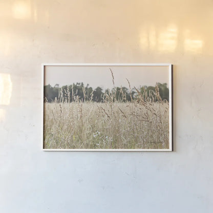 Summer Field II by Elizabeth Urquhart. shown as a paper print in a white frame. Available as a archival giclee rolled canvas, fine art paper, or poster print. SKU 74452i.