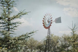Sun Drenched I by Elizabeth Urquhart. SKU 50759i. Archival Giclee Fine art print for wall decor.