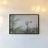 Sun Drenched I by Elizabeth Urquhart. shown as a paper print in a black flame. Available as a archival giclee rolled canvas, fine art paper, or poster print. SKU 50759i.