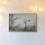 Sun Drenched I by Elizabeth Urquhart. shown as a paper print in a natural frame. Available as a archival giclee rolled canvas, fine art paper, or poster print. SKU 50759i.
