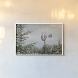 Sun Drenched I by Elizabeth Urquhart. shown as a paper print in a white frame. Available as a archival giclee rolled canvas, fine art paper, or poster print. SKU 50759i.